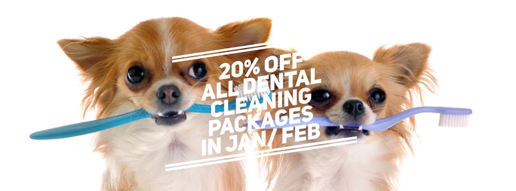 Central Valley Veterinary Hospital | 1940 Kane Rd #124, Kelowna, BC V1V 2J9, Canada | Phone: (250) 762-7181