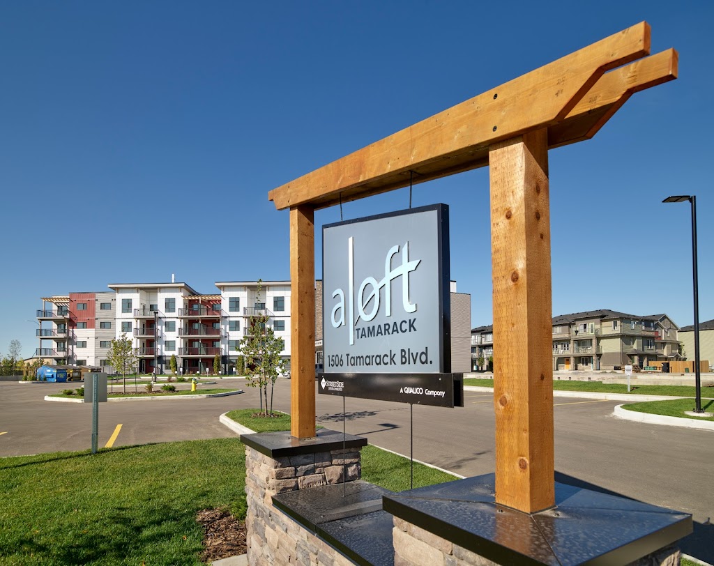Aloft Tamarack | 1506 Tamarack Blvd NW, Edmonton, AB T6T 2J5, Canada | Phone: (587) 200-3122