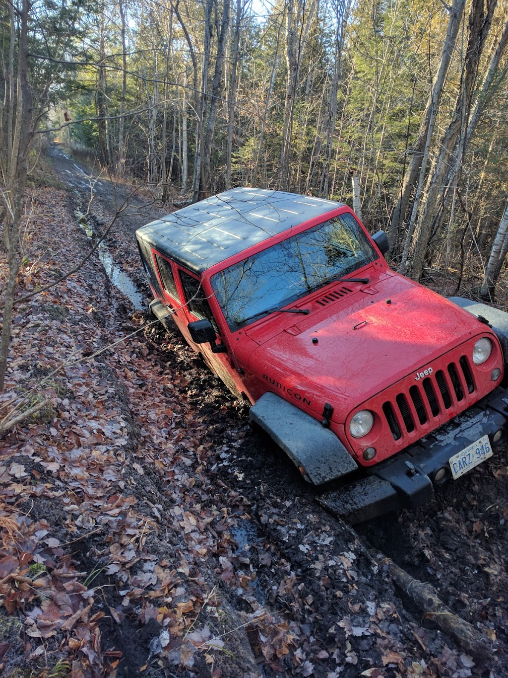 Exclusive Towing Bethany | Box 370, 43 Deane St N, Omemee, ON K0L 2W0, Canada | Phone: (705) 277-2929