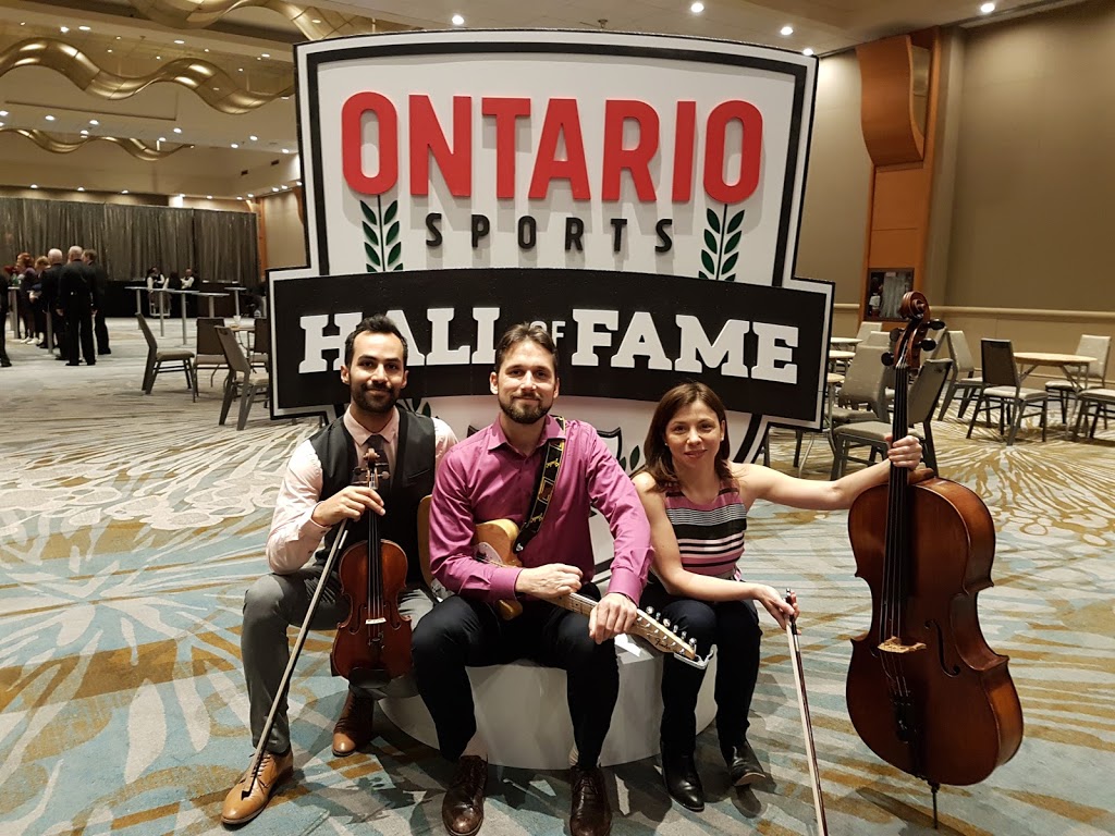 Wellington Music Co. and The Guitar Guys | 17 Vistaview Blvd, Thornhill, ON L4J 2A5, Canada | Phone: (416) 410-5365