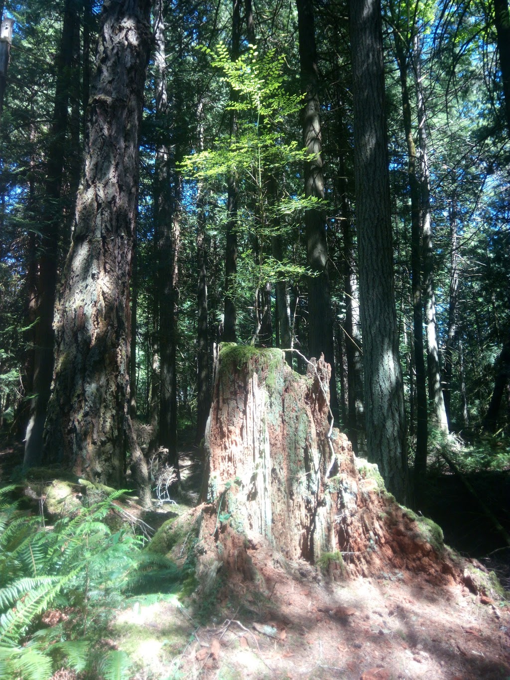 Francis/King Regional Park | Munn Rd, Saanich, BC V9E 1H7, Canada | Phone: (250) 360-3000