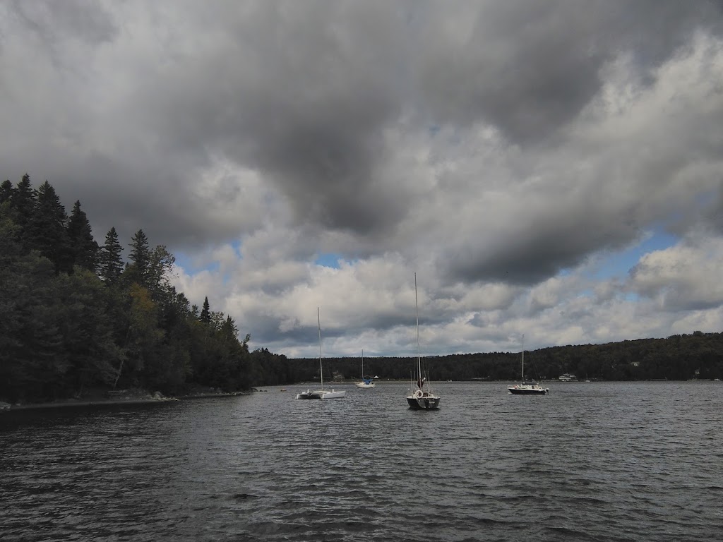 DArbre en Arbre | 435 Chemin Ernest-Martin, Marston, QC G0Y 1G0, Canada | Phone: (819) 583-3965