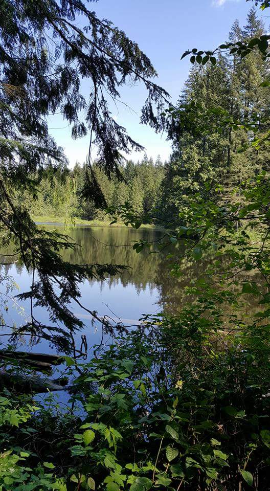 Bear Mountain Park | 10969 Dewdney Trunk Rd, Mission, BC V4S 1L1, Canada