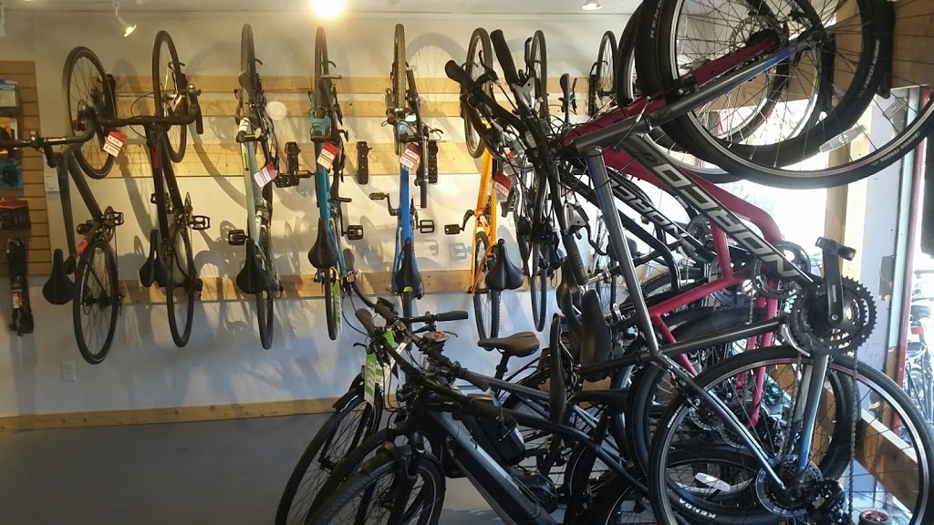 OutSpokin Bike Shop | 131 McPhillips Ave, Salt Spring Island, BC V8K 2T8, Canada | Phone: (250) 931-2453