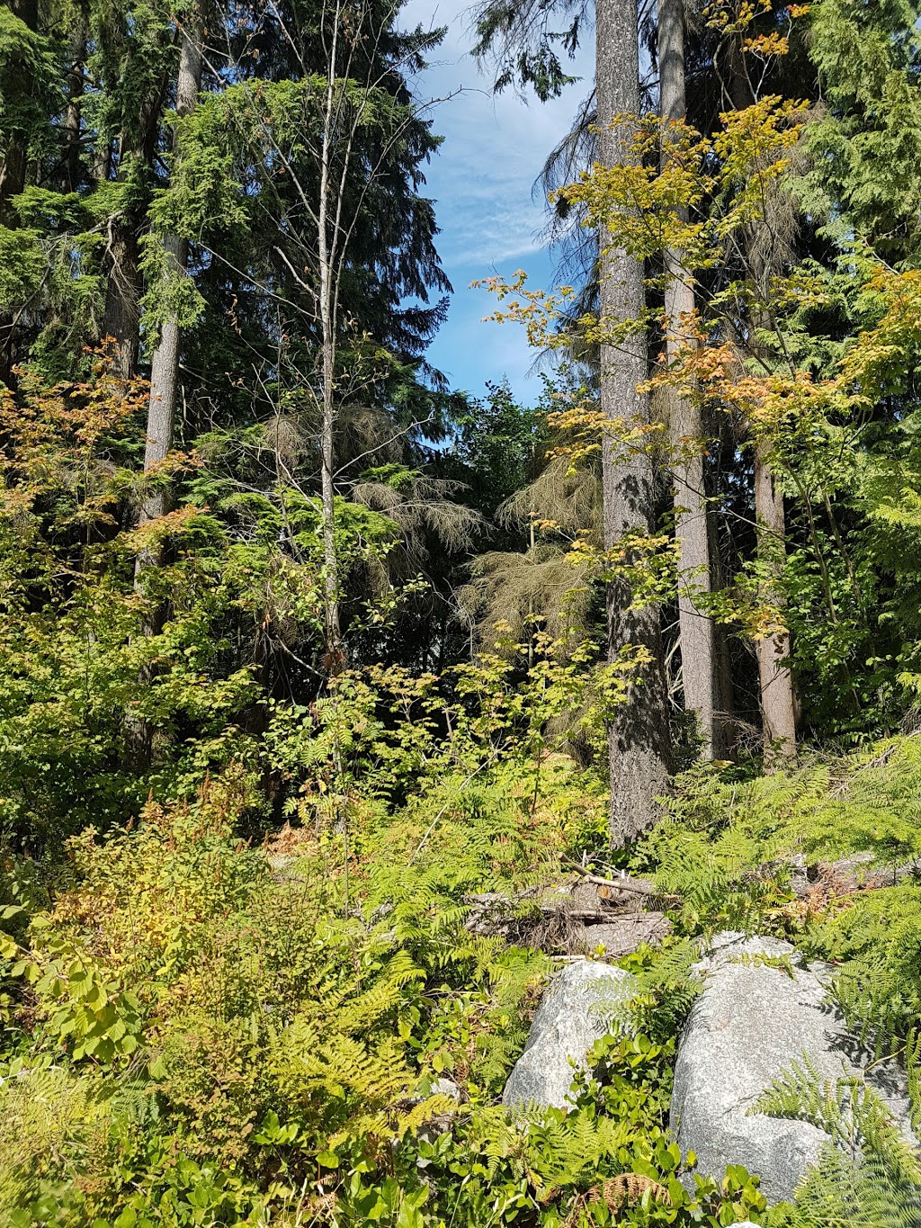 Noons Creek Park | 2500 Panorama Dr, Port Moody, BC V3H 5M3, Canada | Phone: (604) 927-3000