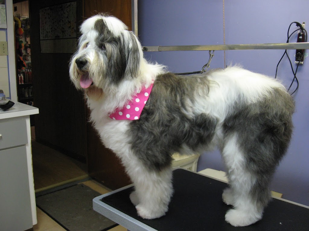 Aux PTits Soins | 191 QC-216, Stoke, QC J0B 3G0, Canada | Phone: (819) 878-3246
