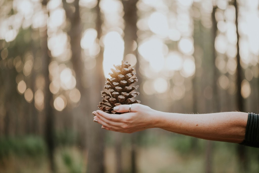 The Pines Yoga & Wellness House | 651 Pine Pit Pl, Comox, BC V9M 3V4, Canada | Phone: (403) 701-7435