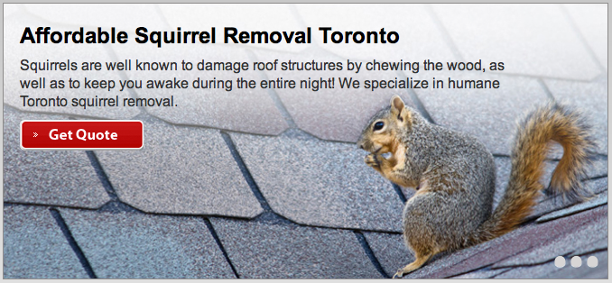 Pestend Pest Control | 4839 Dovehouse Dr, Mississauga, ON L5M 7K7, Canada | Phone: (416) 749-9206
