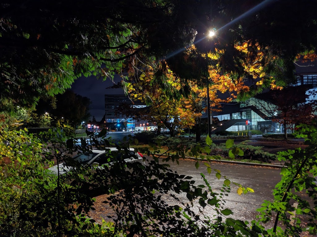 Langara College - Lot #1426 | 100 W 49th Ave, Vancouver, BC V5Y 2Z6, Canada | Phone: (604) 331-7288