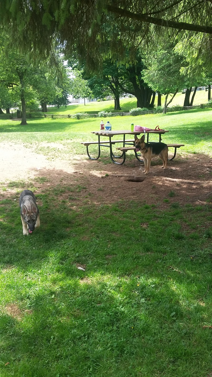 Dog Park | 33097 14 Ave, Mission, BC V2V 2P4, Canada