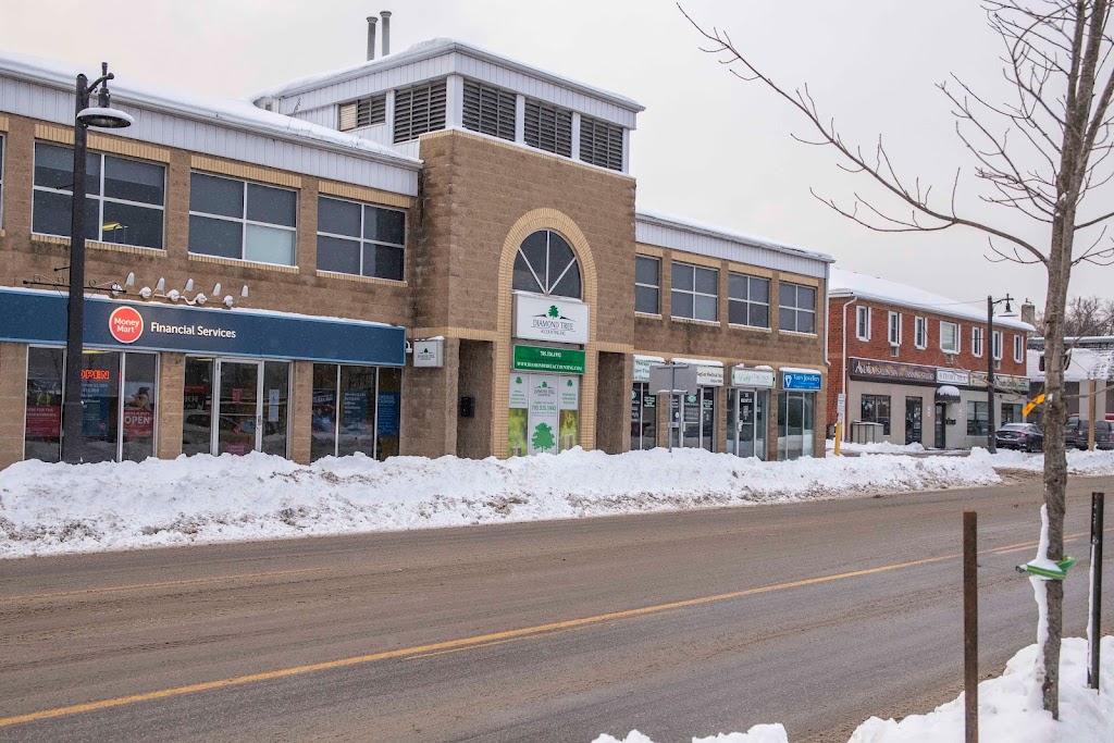Diamond Tree Accounting | Orillia | 25 Front St S, Orillia, ON L3V 4S1, Canada | Phone: (705) 326-1992