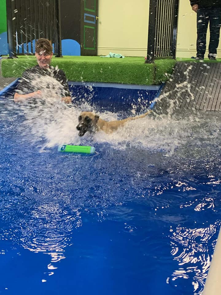 K9 Indoor Splash Pool | 3280 Hwy 7, Pickering, ON L1Y 1C8, Canada | Phone: (905) 655-5577