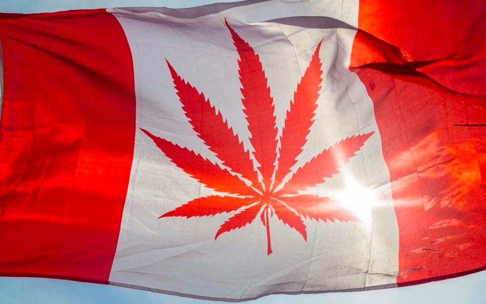 MMJ Canada | 1175 Stone Church Rd E Unit 1, Hamilton, ON L8W 2C6, Canada | Phone: (905) 318-9272