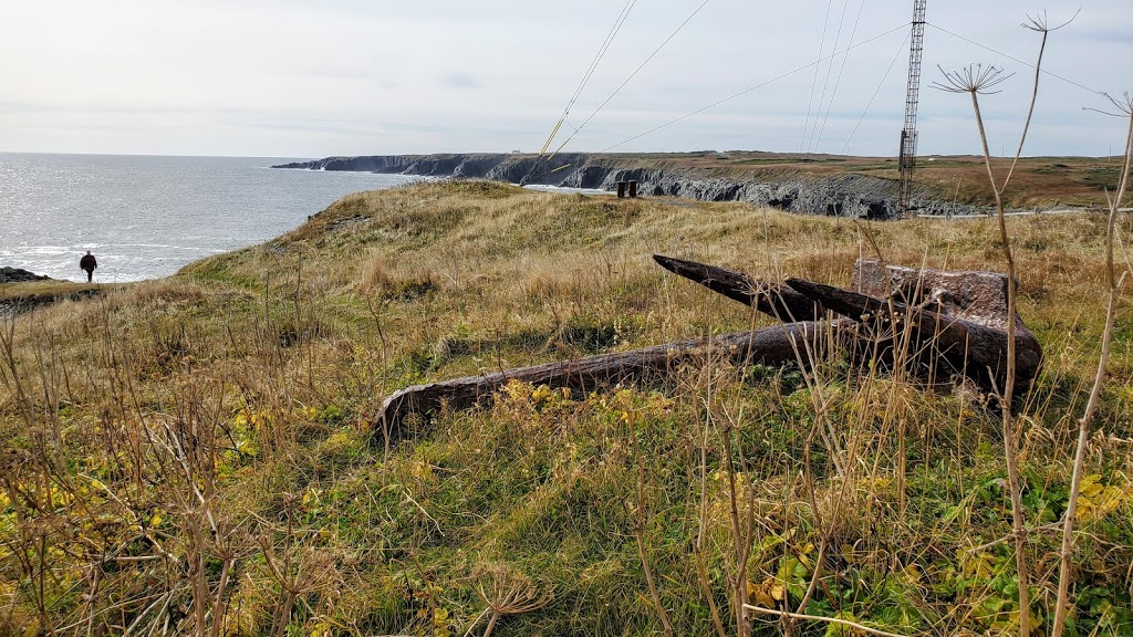 Cape Race Lighthouse | Division No. 1, Subd. V, NL A0A 4B0, Canada | Phone: (709) 438-1100