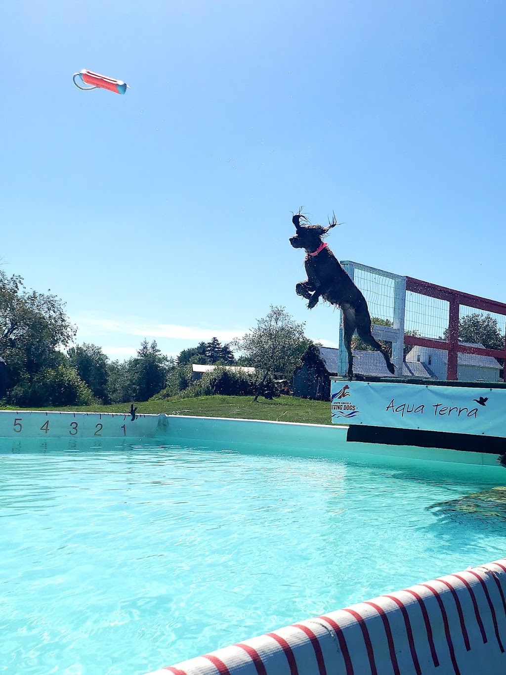 Aqua Terra Kennels | 50 Ridge Rd, Upper Stewiacke, NS B0N 2P0, Canada | Phone: (902) 671-2265
