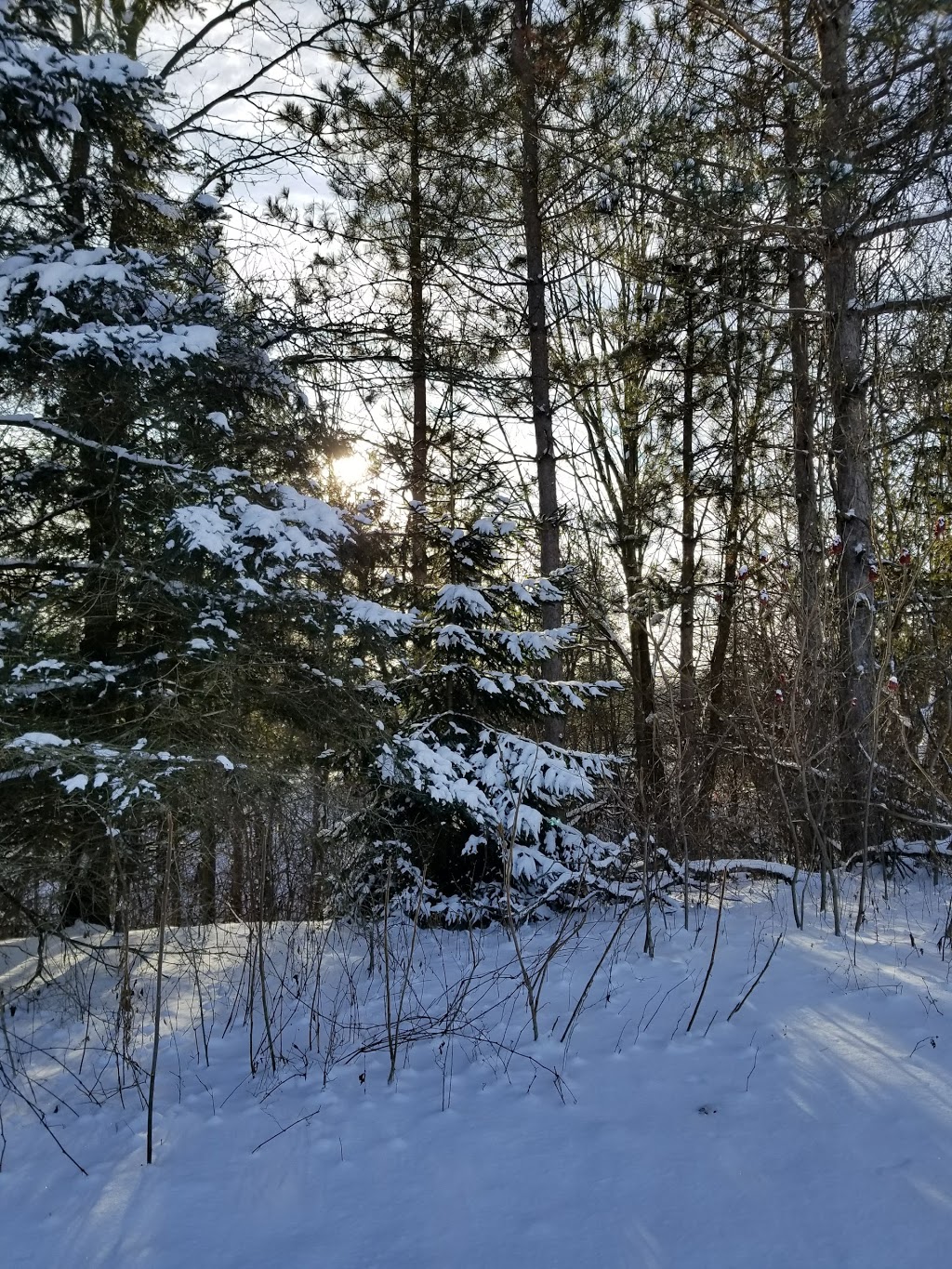 Sharon Creek Conservation Area | 4212 Springer Rd, Delaware, ON N0L 1E0, Canada | Phone: (519) 264-2420