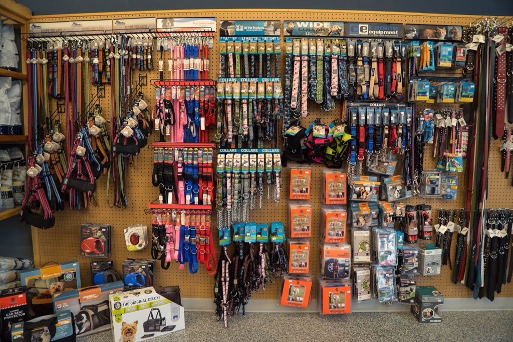 Pet Planet Royal Oak | 8650, 7131 112 Ave NW #7131, Calgary, AB T3R 0R5, Canada | Phone: (403) 263-3332