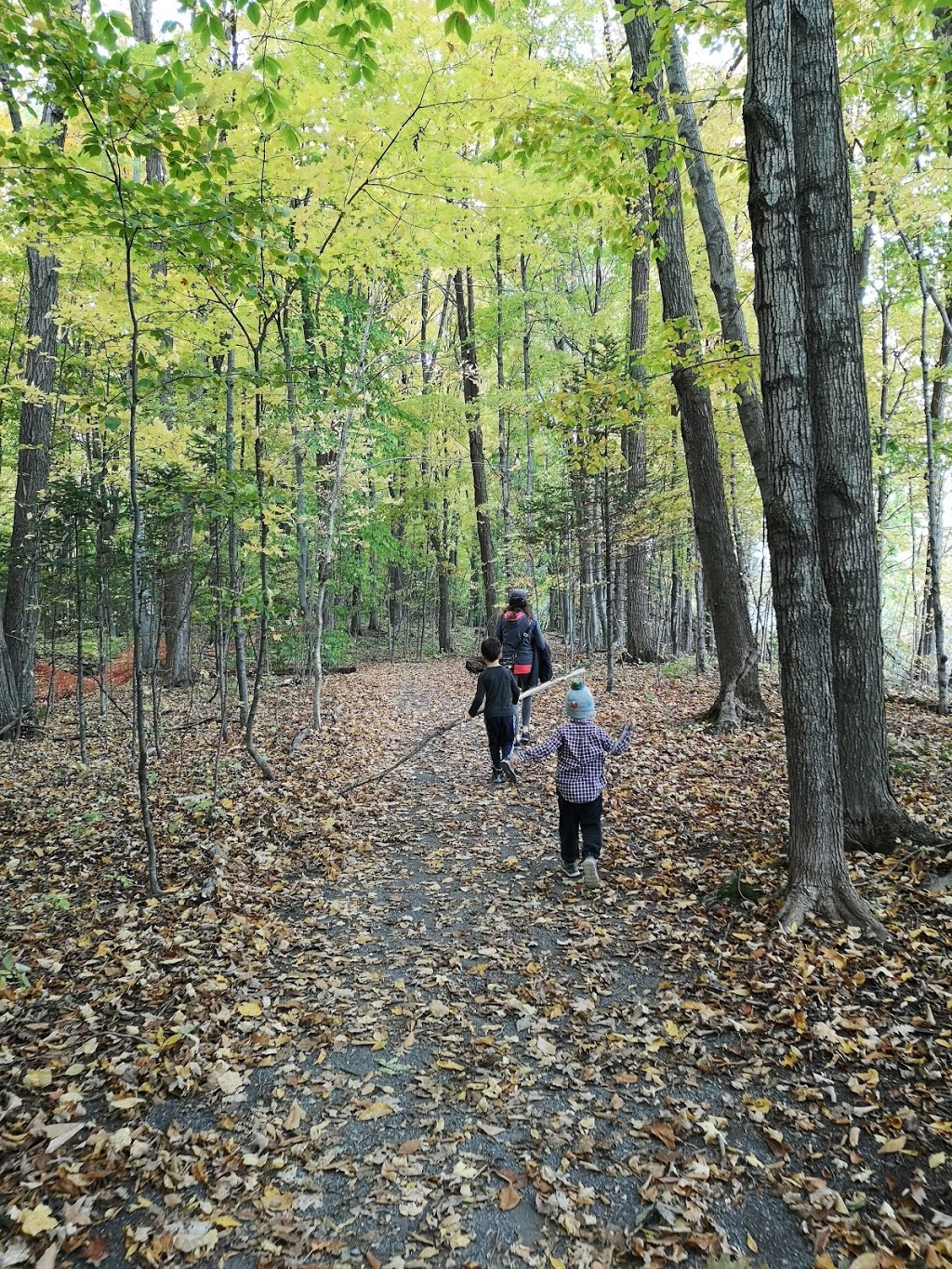 Varley Park | Beaverbrook, Ottawa, ON K2K, Canada