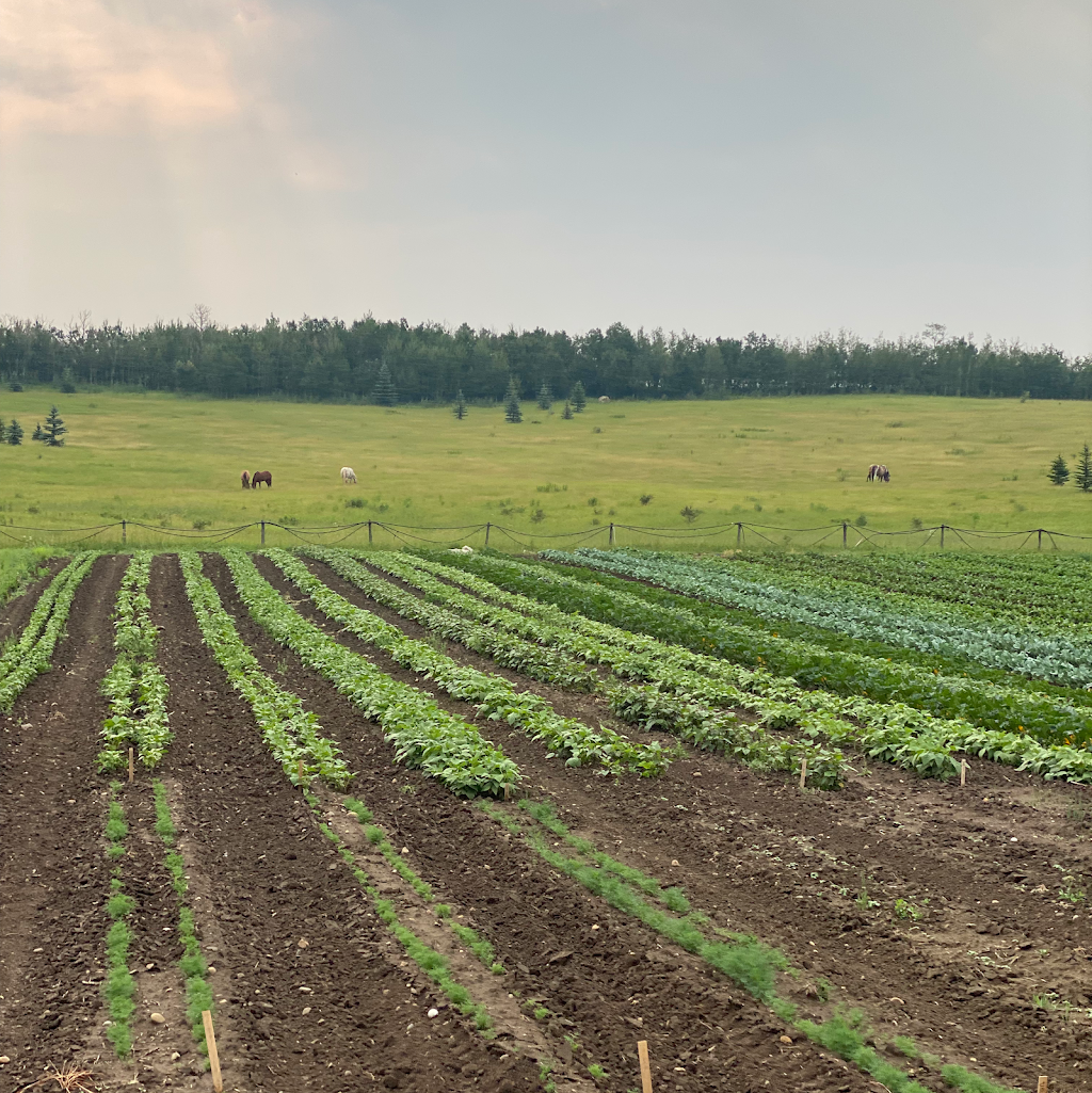 Hidden Valley Garden | 119 1271 Township Road 392, AB T4S 1R7, Canada | Phone: (403) 887-3778