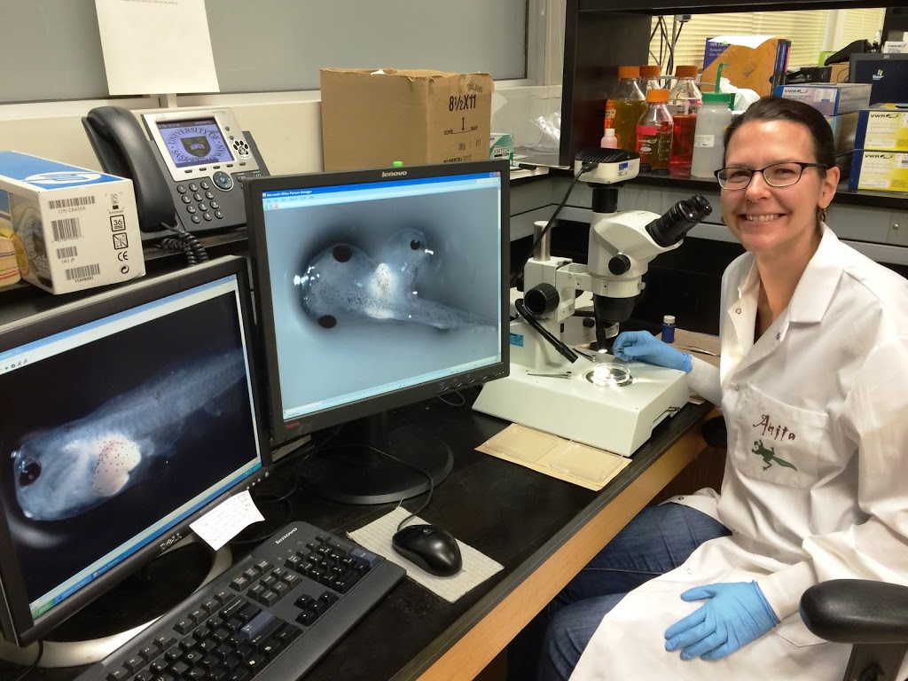 Toxicology Centre | 44 Campus Dr, Saskatoon, SK S7N 5B3, Canada | Phone: (306) 966-7441