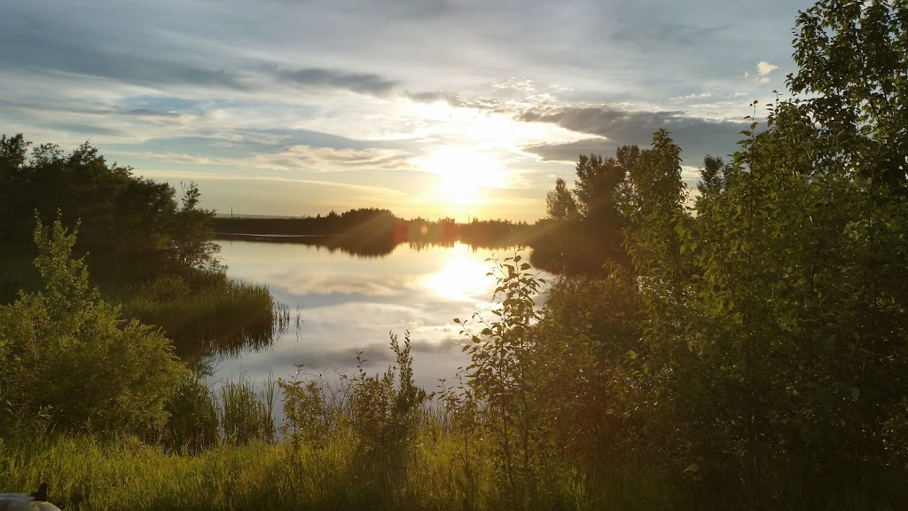 Black Nugget Lake Campground | 49117 Range Rd 182, Ryley, AB T0B 4A0, Canada | Phone: (780) 663-2421