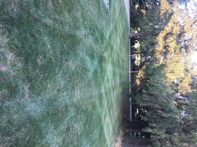 Eden Landscaping | 1371 Windham Road 2, Scotland, ON N0E 1R0, Canada | Phone: (519) 771-5855