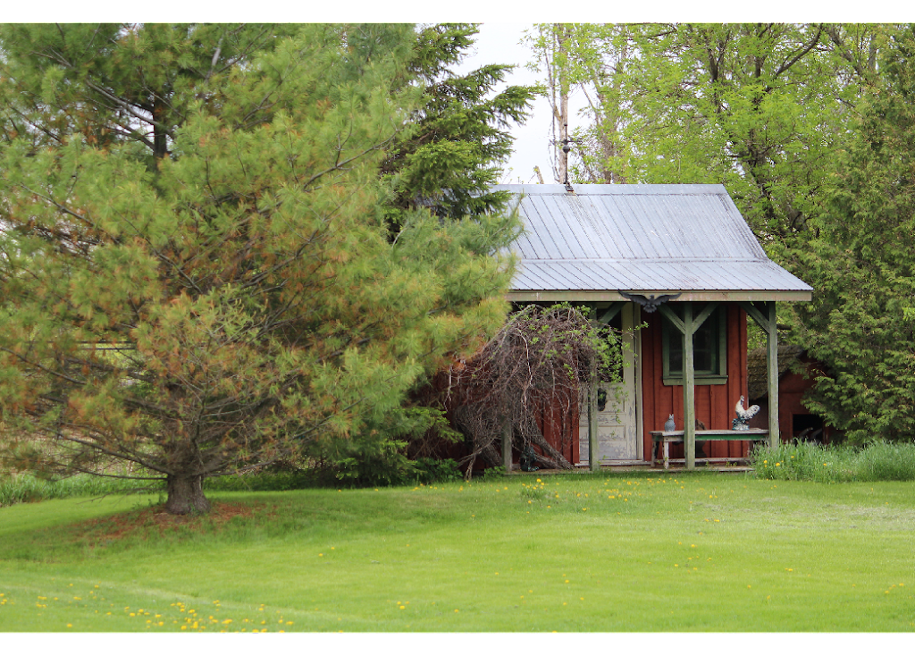 Bogtown Farm | 151 Rang Bogton, Saint-Bernard-de-Lacolle, QC J0J 1V0, Canada | Phone: (514) 774-1415
