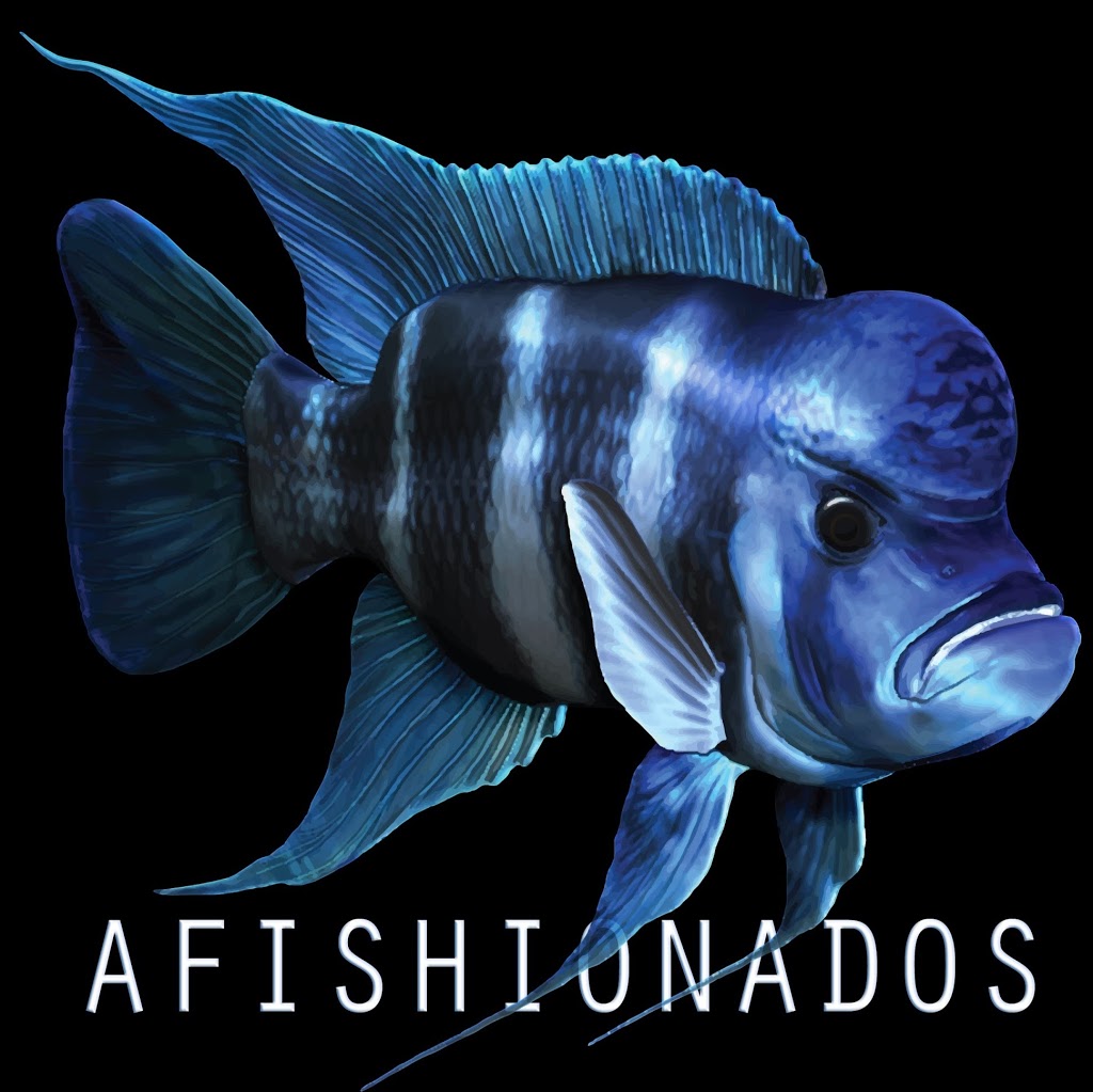aFISHionados | 130 Haarsma St unit 3, East Saint Paul, MB R2E 0M8, Canada | Phone: (204) 668-2246
