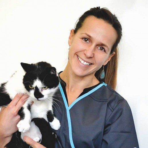 Clinique Vétérinaire Beauharnois | 485 Boulevard Cadieux, Beauharnois, QC J6N 0S7, Canada | Phone: (450) 289-1177