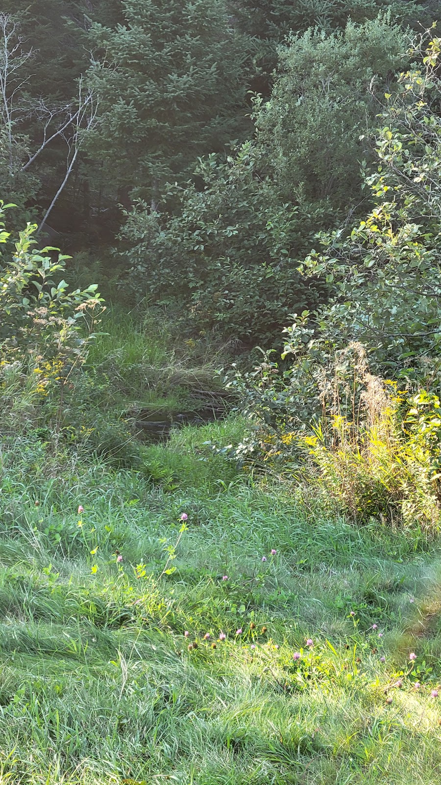 Kavanagh Farm Camping | 2715 NB-134, Shediac, NB E4P 3E6, Canada | Phone: (506) 878-8281