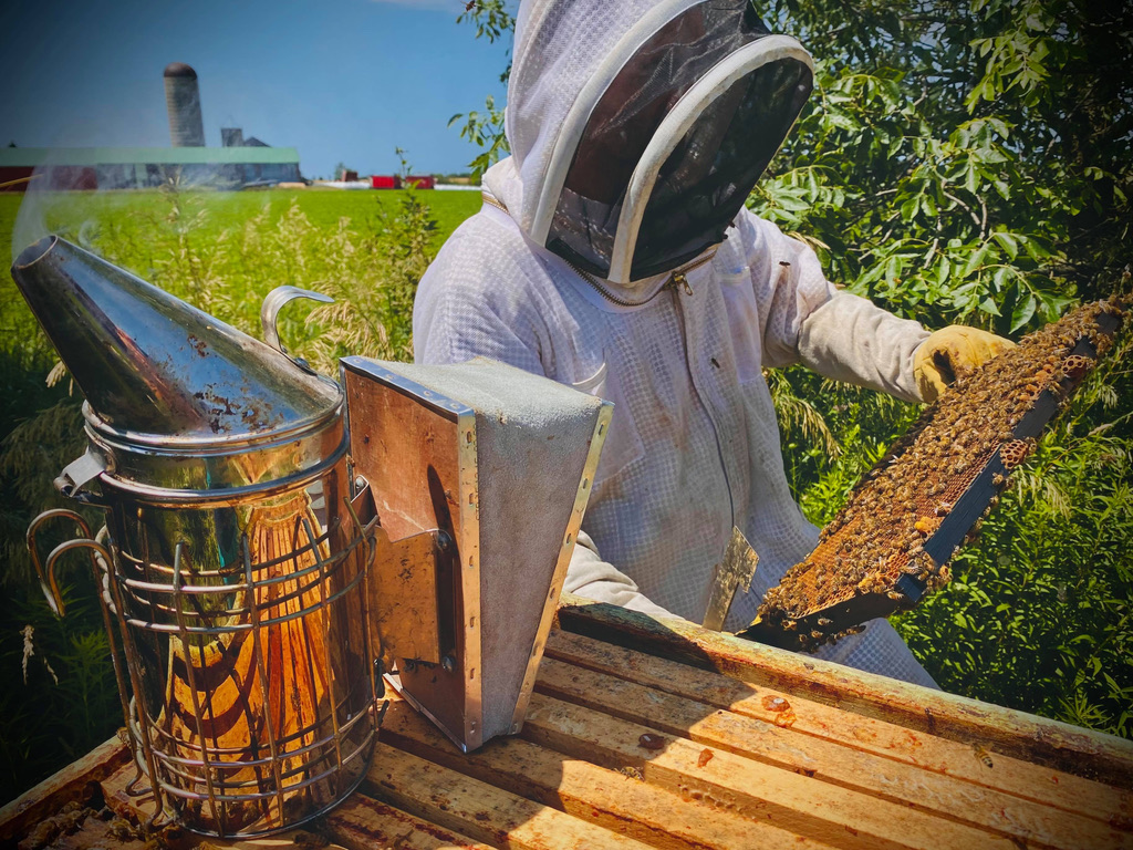 Bens Bees | 135 King St, Tiverton, ON N0G 2T0, Canada | Phone: (519) 386-9247