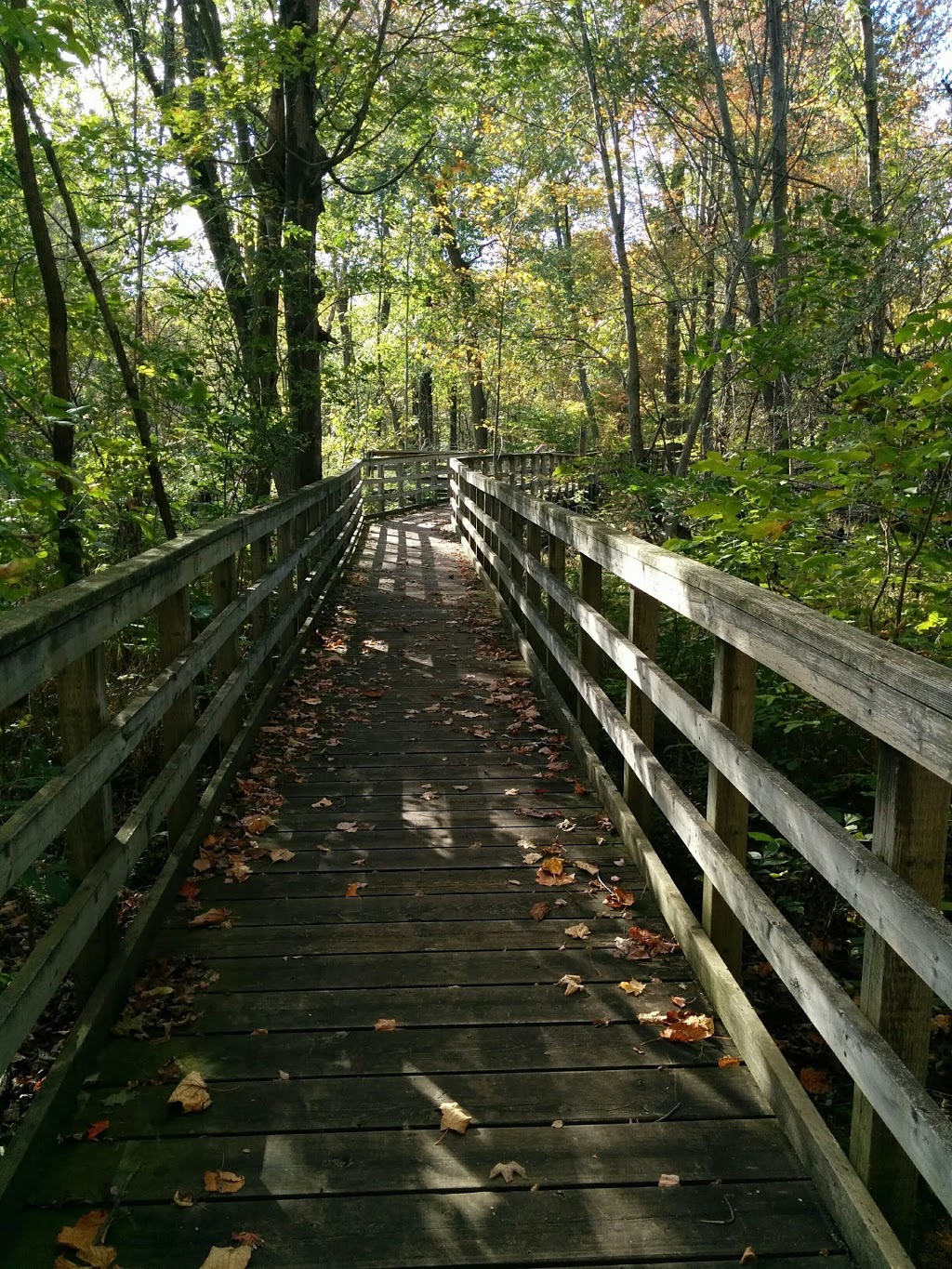 Tulip Tree Trail | Gardiner, Morpeth, ON N0P 1X0, Canada