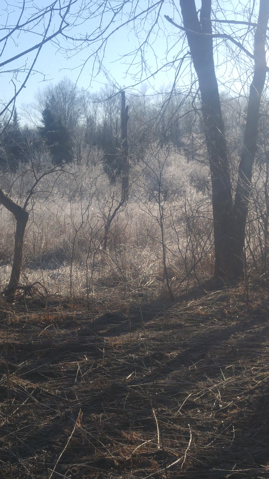 Grange Public Land | 32 Cardwell St, Alton, ON L7K 0E2, Canada