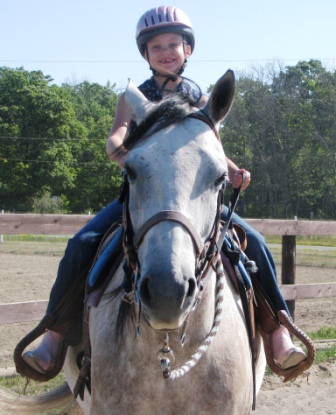 BNR Stables | 2250 Balfour St, Fenwick, ON L0S 1C0, Canada | Phone: (905) 892-7433