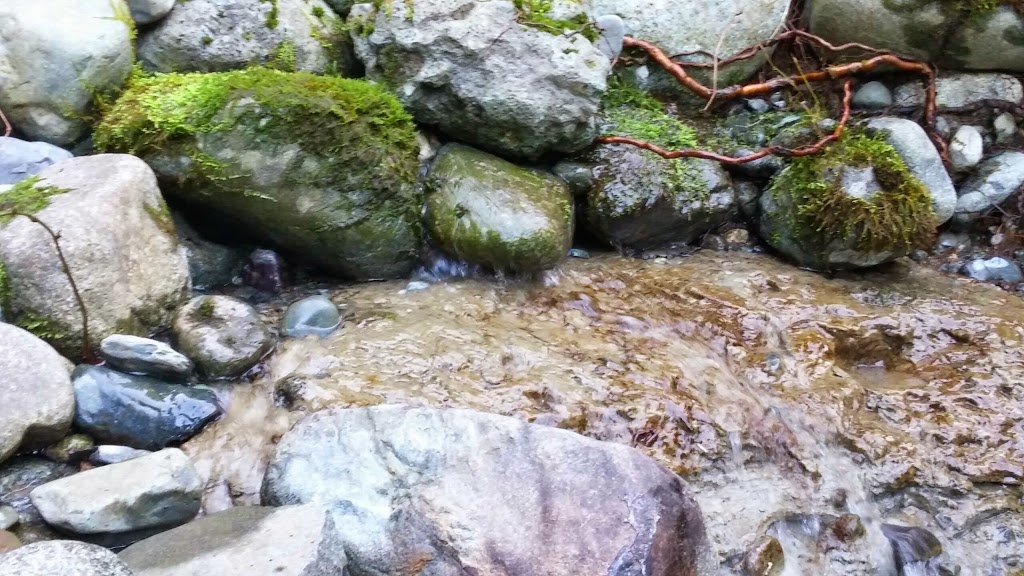Chemainus River Provincial Park | Lake Cowichan, BC V0R 2G0, Canada