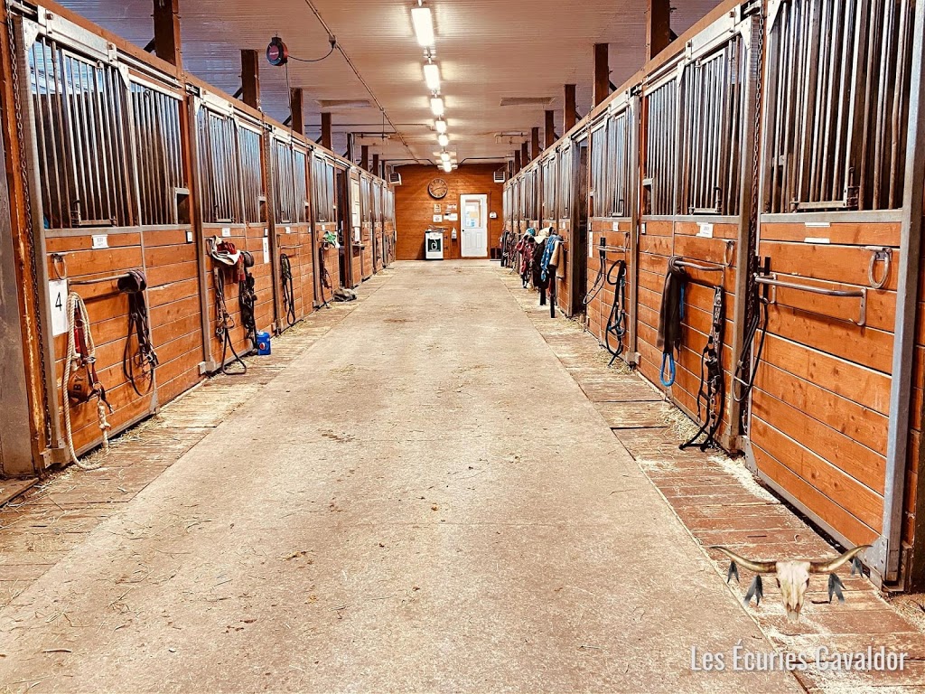 Les Écuries Cavaldor | 1587 11e Rang, Wickham, QC J0C 1S0, Canada | Phone: (819) 471-7521