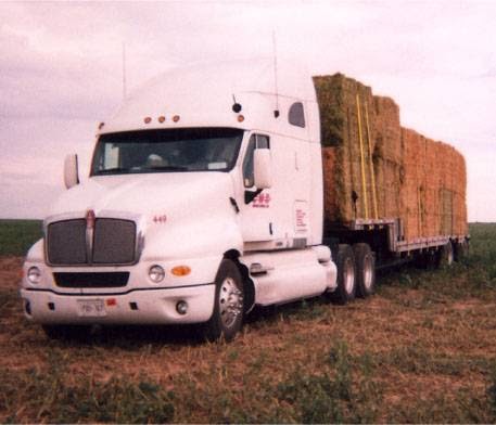 CMX Motor Express Inc | 30 Caristrap St, Bowmanville, ON L1C 4N4, Canada