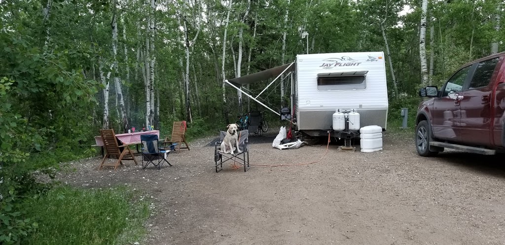 Wizard Lake Jublilee Park | 48044 Range Rd 271, Calmar, AB T0C 0V0, Canada | Phone: (780) 985-2499