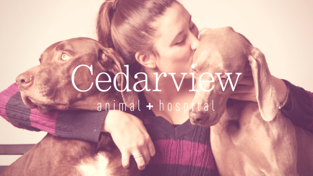 Cedarview Animal Hospital | 4100 Strandherd Dr #106, Nepean, ON K2J 0V2, Canada | Phone: (613) 825-5001