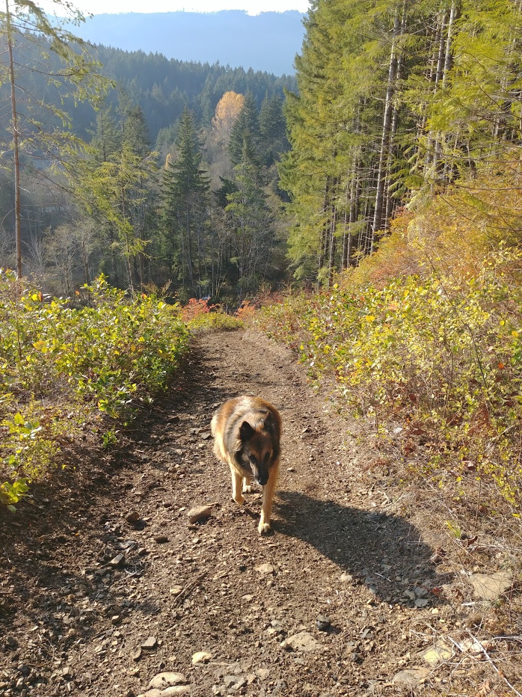 Alberni Inlet Trailhead | British Columbia V0R 1G0, Canada | Phone: (250) 723-2146