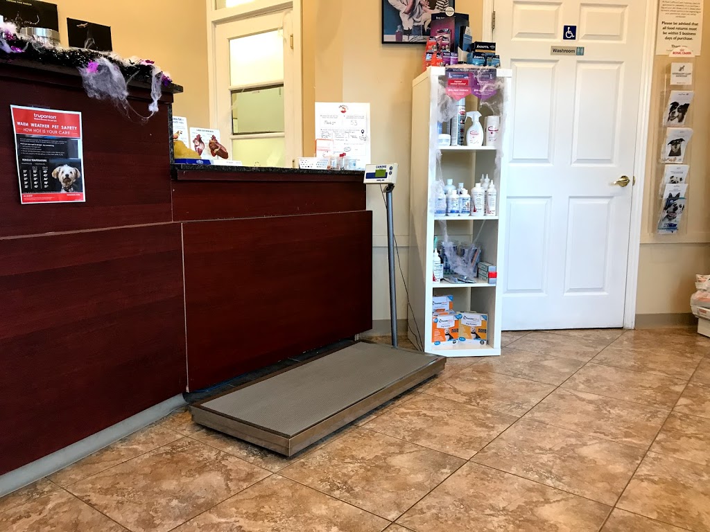 Bank Street Animal Hospital | 2446 Bank St #123, Ottawa, ON K1V 1A4, Canada | Phone: (613) 695-2060
