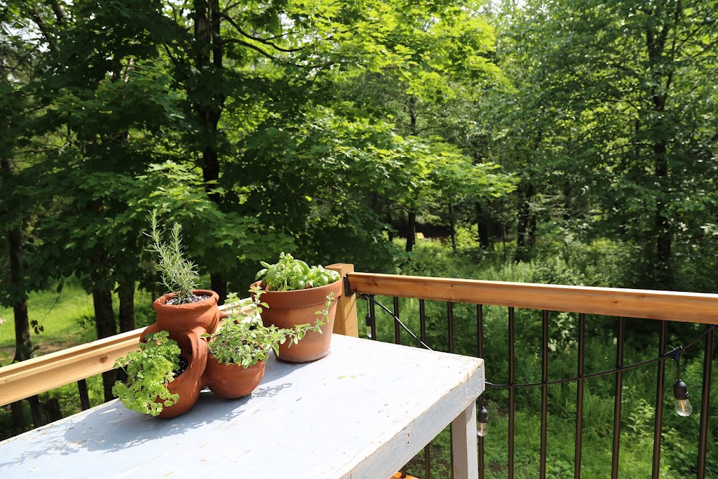 The Lazy River Chalet | 451 Chem. Fany, Namur, QC J0V 1N0, Canada | Phone: (514) 653-0147