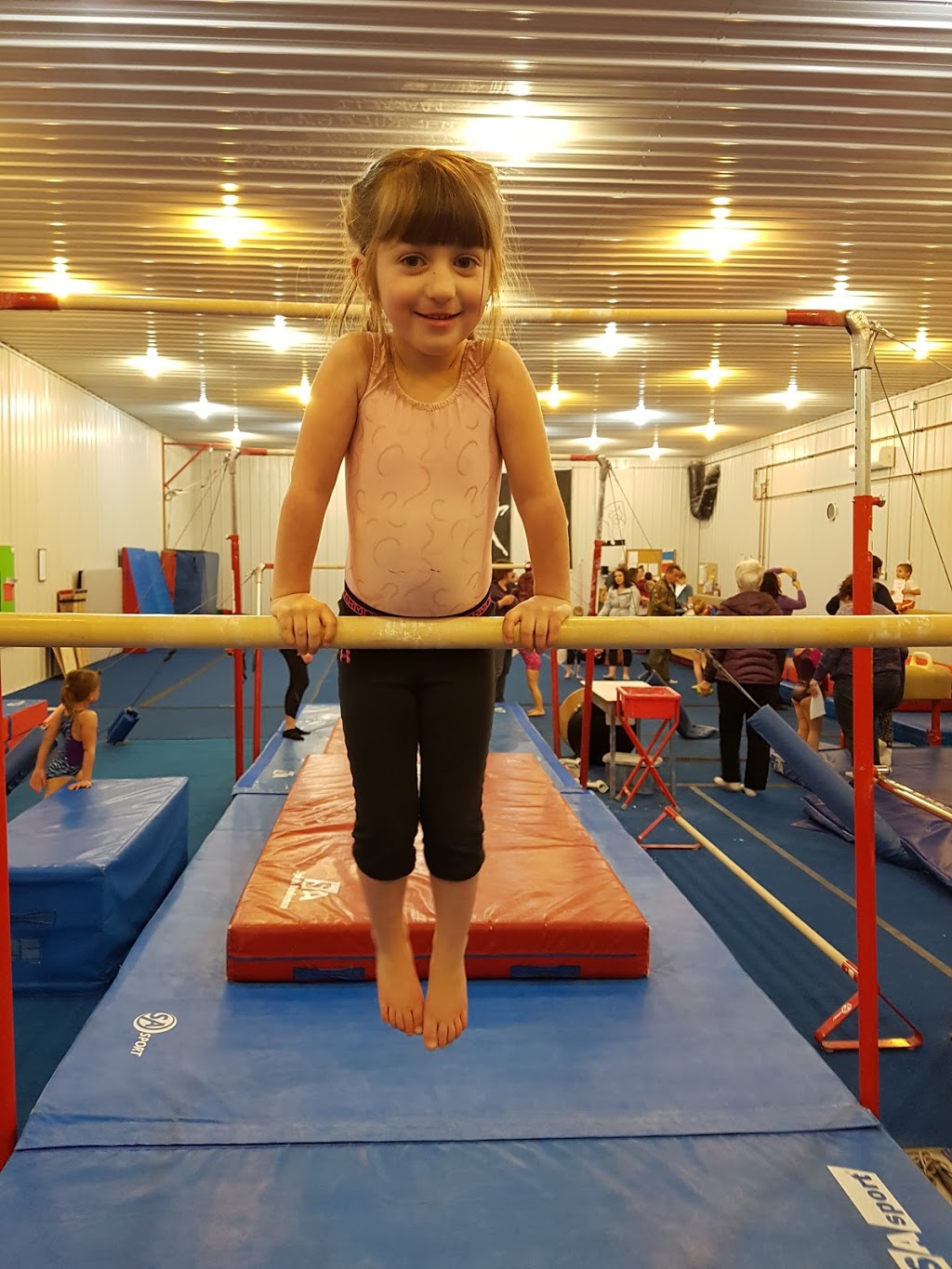 Selkirk Selects Gymnastics Club | 965 Main St, Clandeboye, MB R0C 0P0, Canada