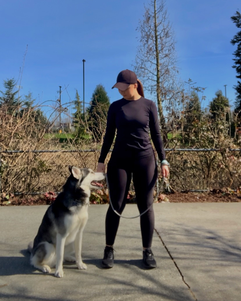 Underdog K9 Services | 6781 188 St, Surrey, BC V4N 0Z9, Canada | Phone: (604) 315-6652