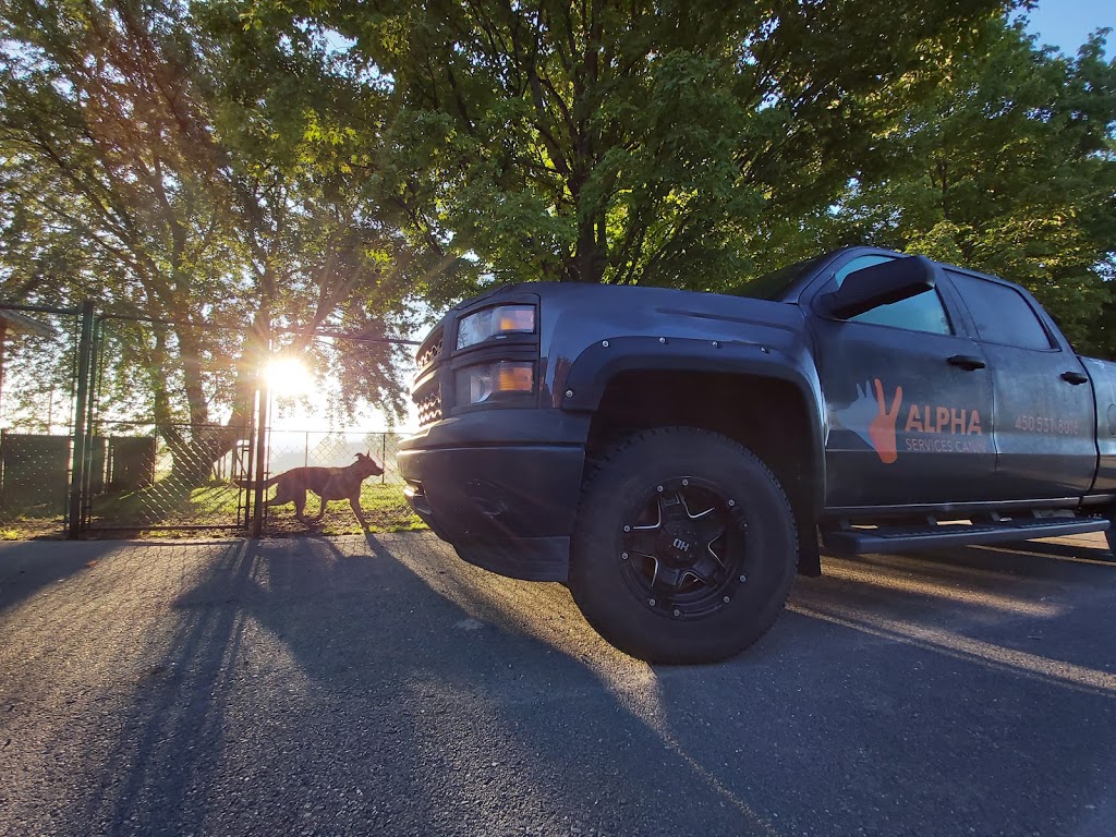Alpha services Canin, Dressage de chien | 851 Rue Scott, Granby, QC J2H 0L1, Canada | Phone: (450) 531-8018