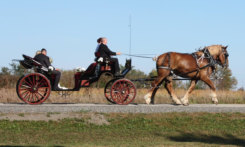 Red Gate Arena Farm | 561 Ramsay Concession 5A, Carleton Place, ON K7C 3P1, Canada | Phone: (613) 253-8641