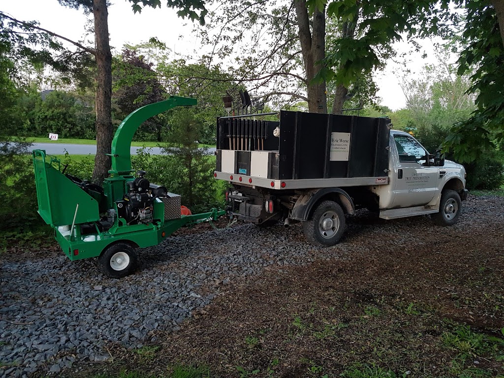 Weese Tree Preservation and Weese Nurseries | 541A S Shore Rd, Napanee, ON K7R 3K7, Canada | Phone: (613) 352-5988