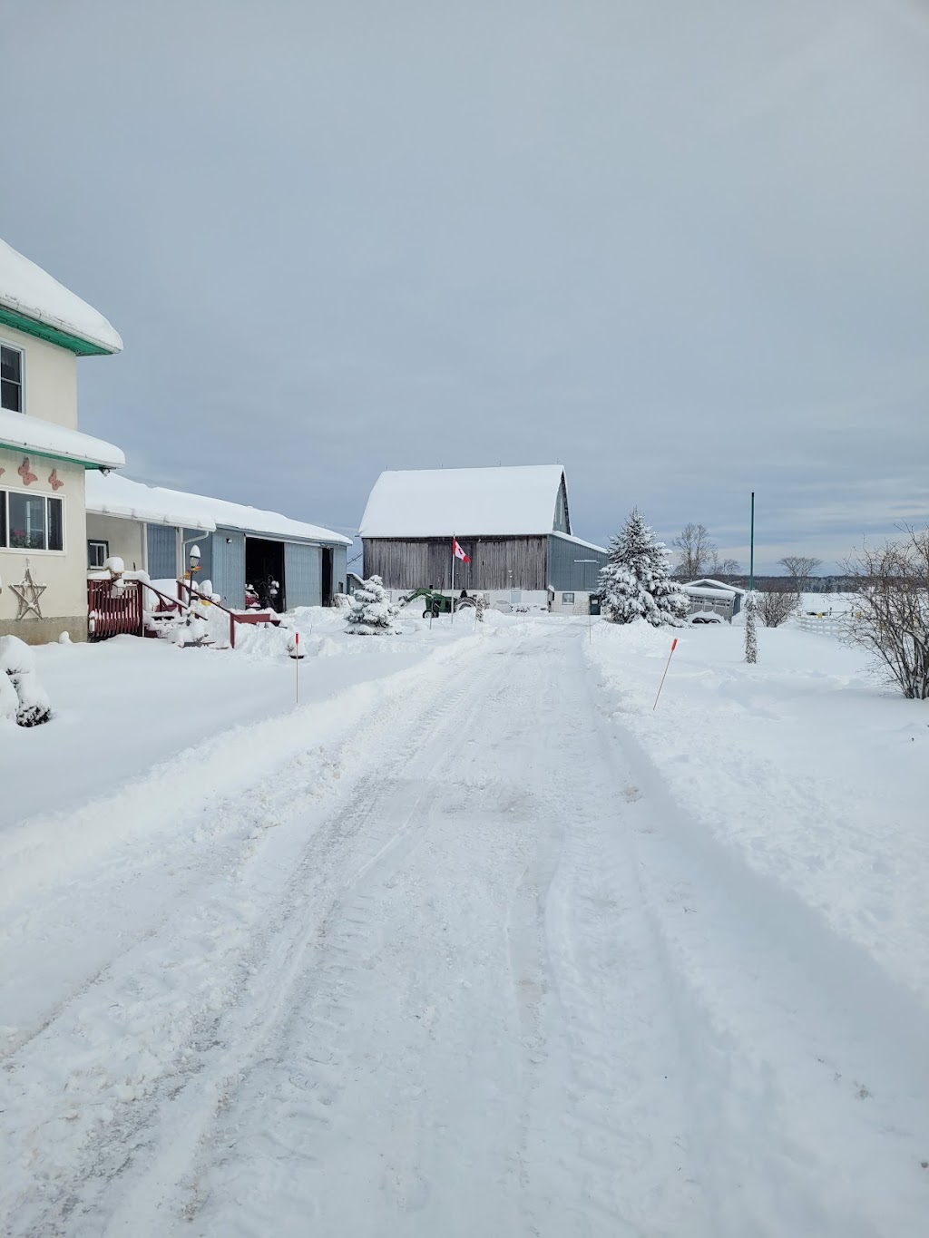HB ACRES - JONES FEED MILL DEALER | 1791 Wainman Line, Coldwater, ON L0K 1E0, Canada | Phone: (705) 835-5823