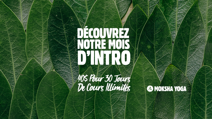 Modo Yoga Vaudreuil | 182 Bd Harwood, Vaudreuil-Dorion, QC J7V 1Y2, Canada | Phone: (450) 455-4888