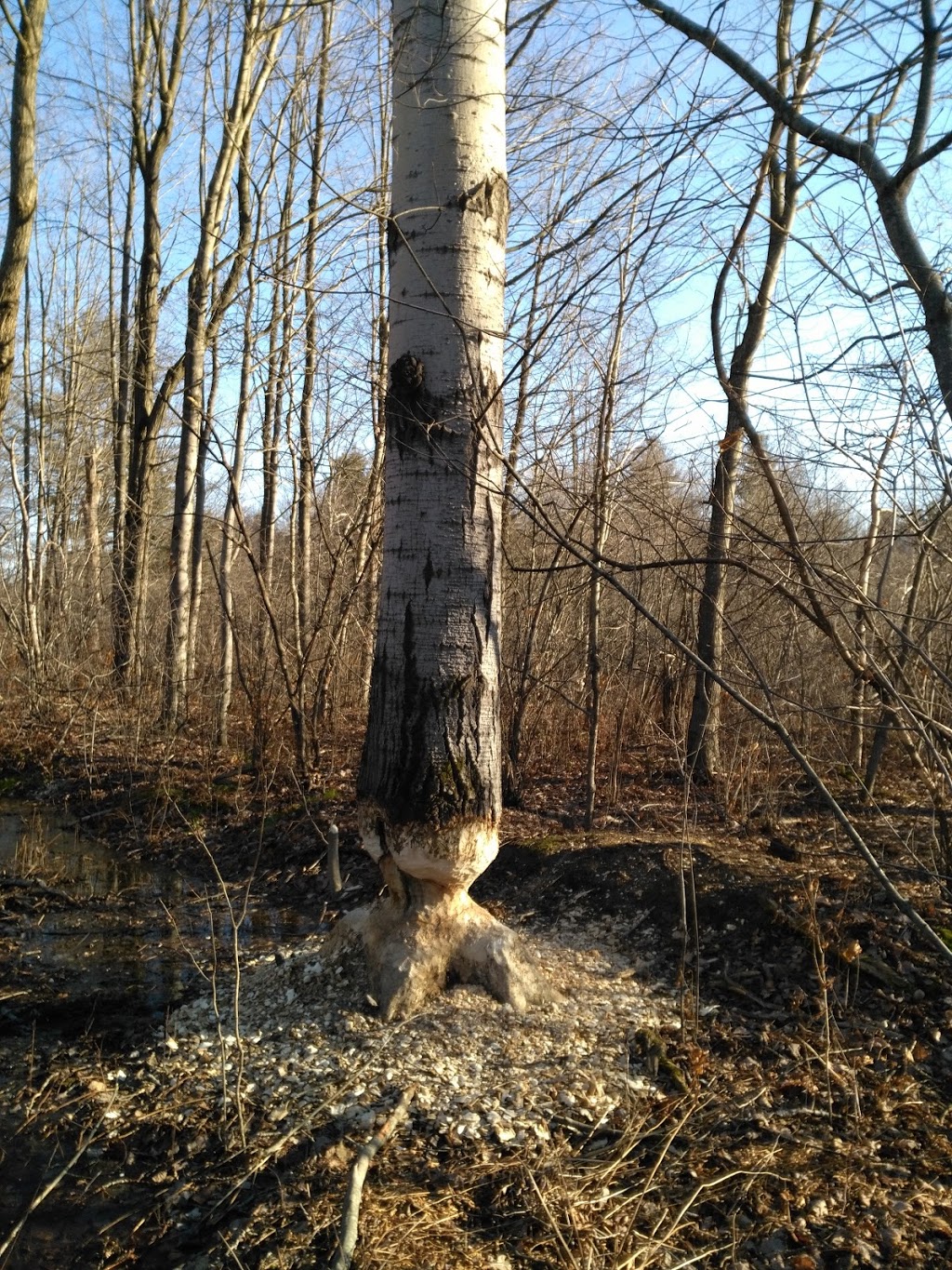 NCC Greenbelt P20 | 2617 Anderson Rd, Orléans, ON K1A 0E7, Canada